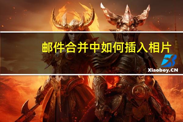 邮件合并中如何插入相片