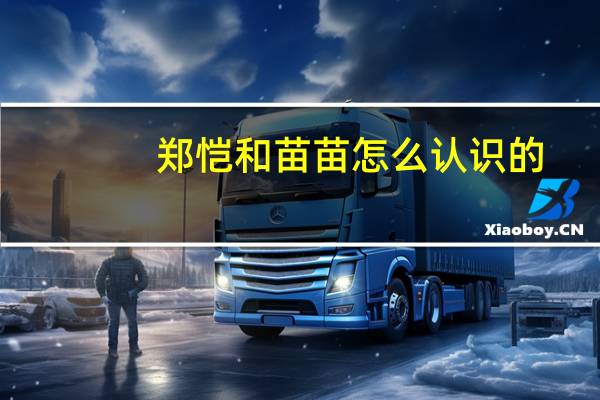 郑恺和苗苗怎么认识的