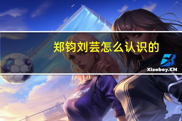 郑钧刘芸怎么认识的