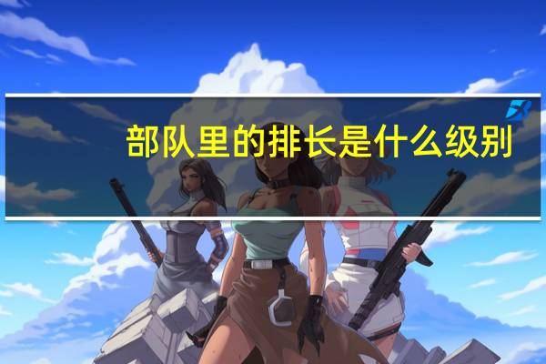 部队里的排长是什么级别