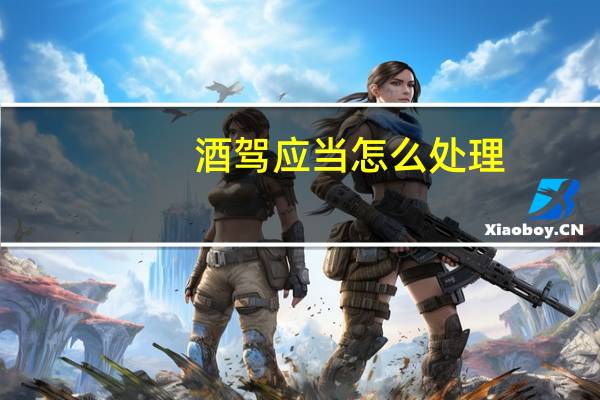 酒驾应当怎么处理