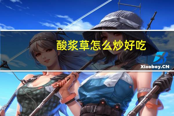 酸浆草怎么炒好吃
