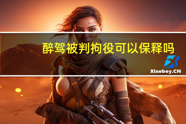 醉驾被判拘役可以保释吗