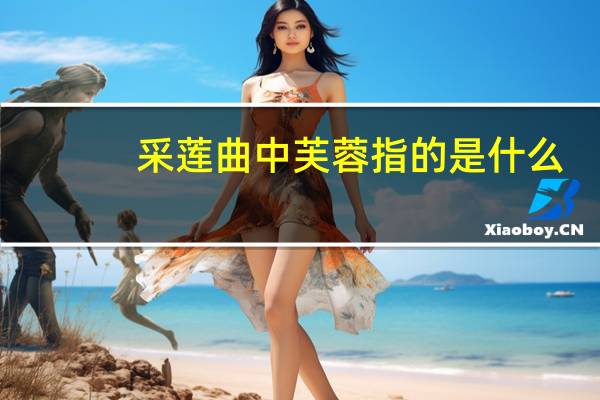 采莲曲中芙蓉指的是什么
