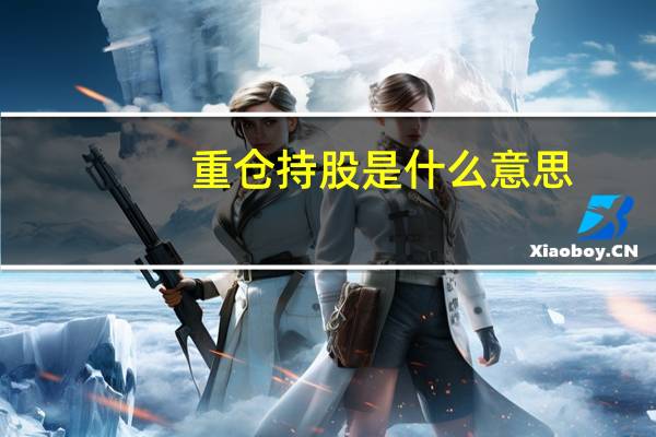 重仓持股是什么意思