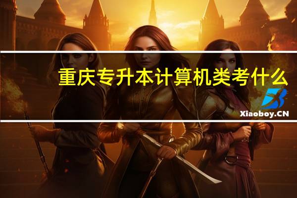 重庆专升本计算机类考什么