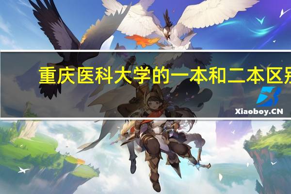 重庆医科大学的一本和二本区别