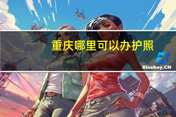 重庆哪里可以办护照