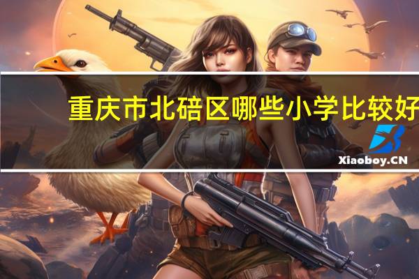 重庆市北碚区哪些小学比较好
