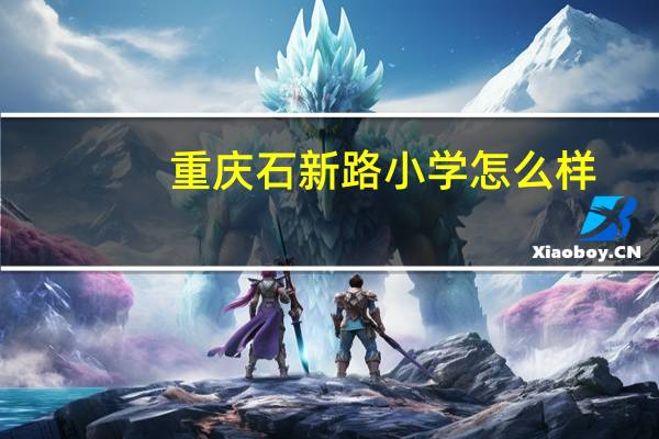 重庆石新路小学怎么样