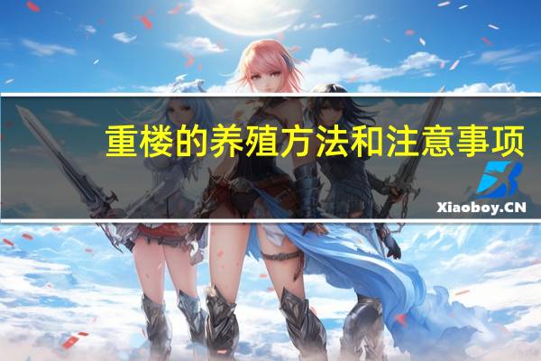 重楼的养殖方法和注意事项