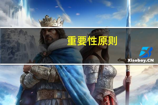 重要性原则