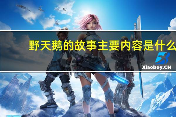 野天鹅的故事主要内容是什么？