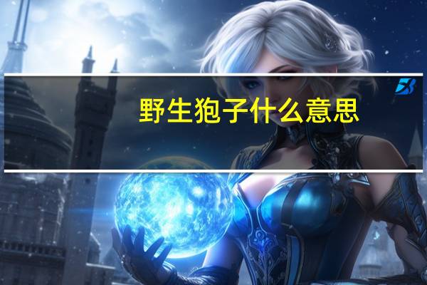 野生狍子什么意思