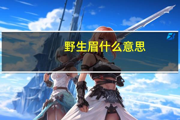 野生眉什么意思