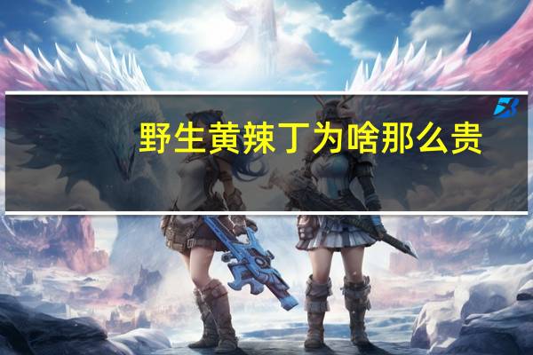 野生黄辣丁为啥那么贵