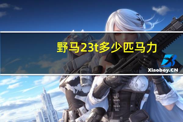 野马23t多少匹马力