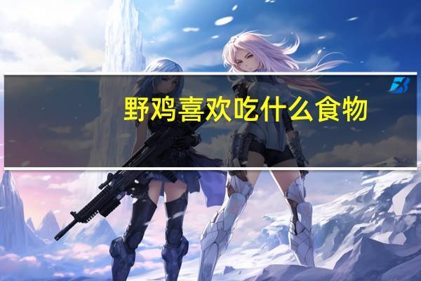 野鸡喜欢吃什么食物