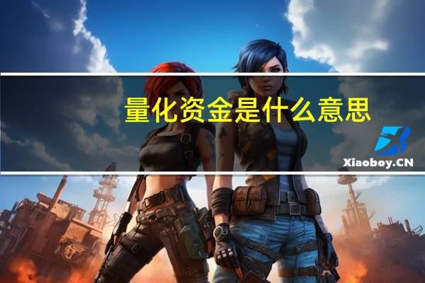 量化资金是什么意思