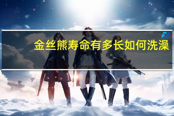 金丝熊寿命有多长如何洗澡