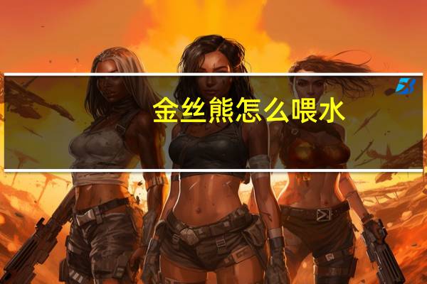 金丝熊怎么喂水