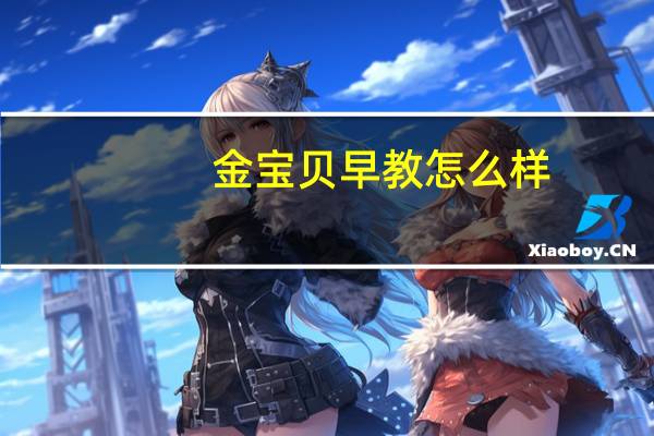 金宝贝早教怎么样？