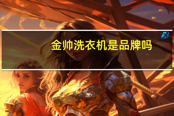 金帅洗衣机是品牌吗
