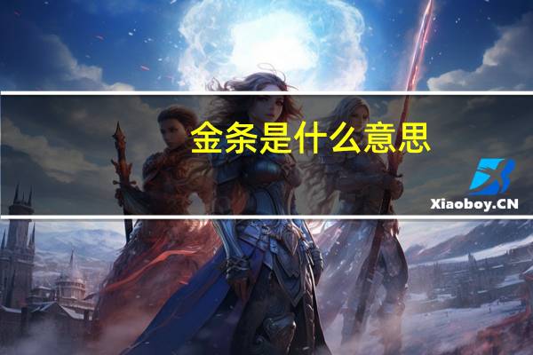 金条是什么意思