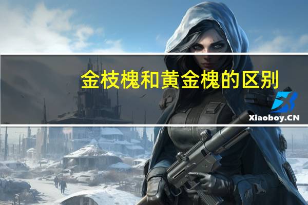 金枝槐和黄金槐的区别