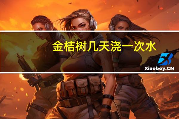 金桔树几天浇一次水