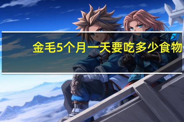 金毛5个月一天要吃多少食物
