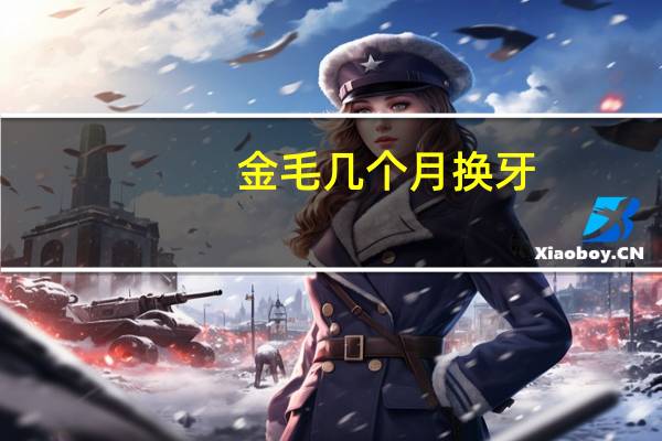 金毛几个月换牙