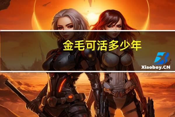 金毛可活多少年