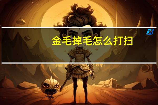 金毛掉毛怎么打扫