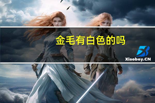 金毛有白色的吗