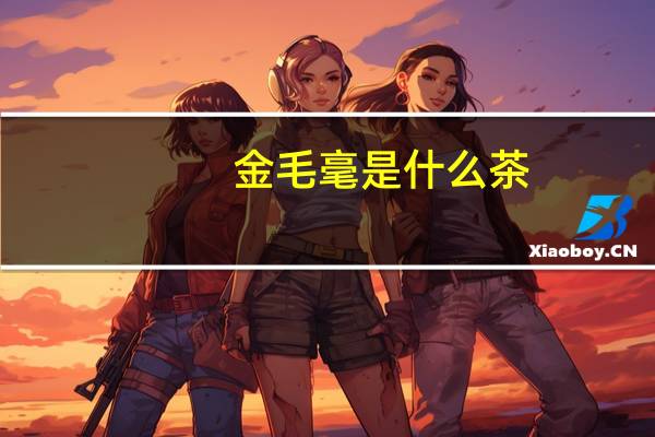 金毛毫是什么茶