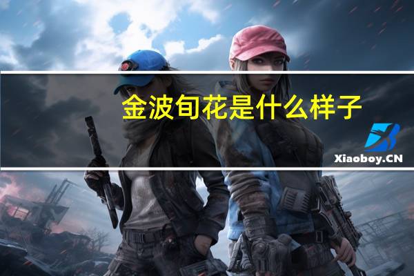 金波旬花是什么样子