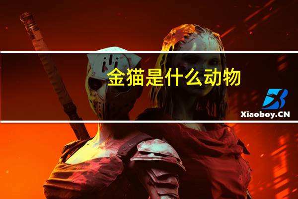 金猫是什么动物