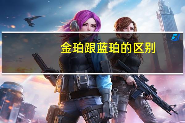 金珀跟蓝珀的区别