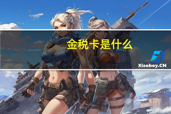 金税卡是什么
