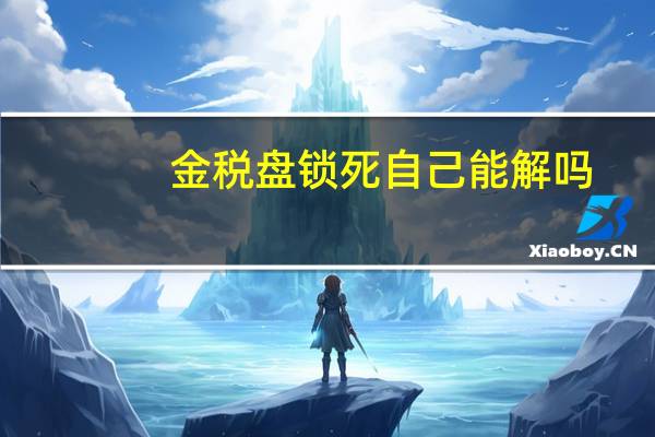 金税盘锁死自己能解吗