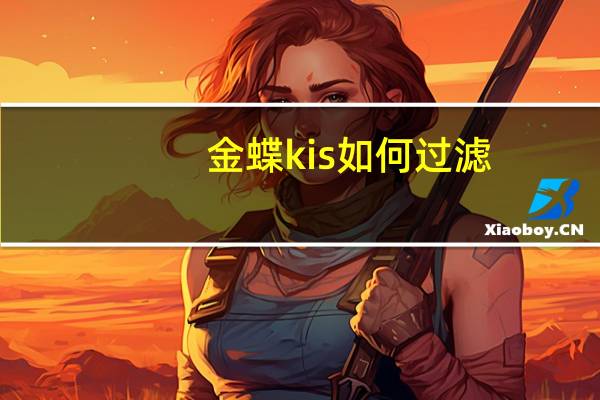 金蝶kis如何过滤