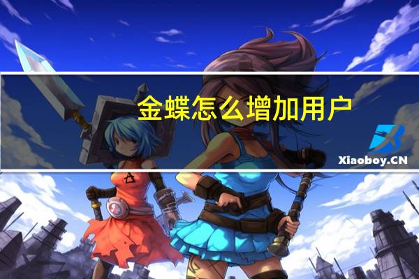 金蝶怎么增加用户