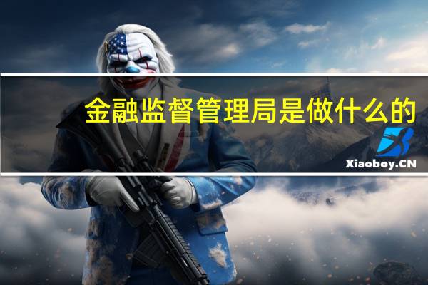 金融监督管理局是做什么的