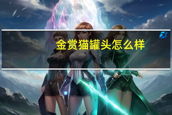 金赏猫罐头怎么样