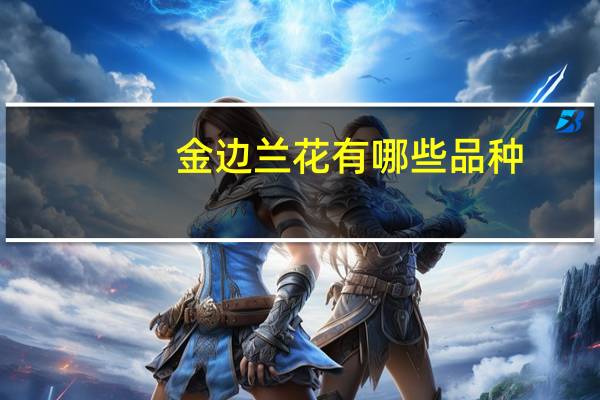 金边兰花有哪些品种