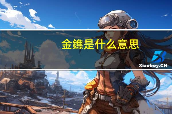 金鐎是什么意思