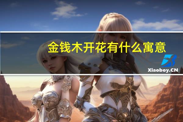 金钱木开花有什么寓意