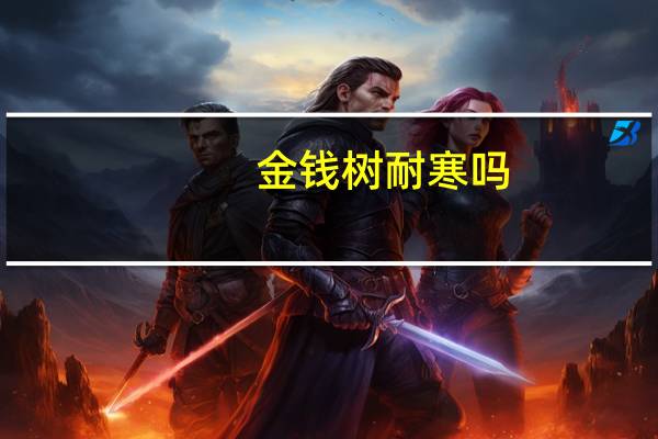 金钱树耐寒吗
