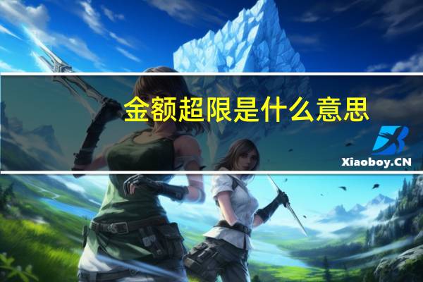 金额超限是什么意思